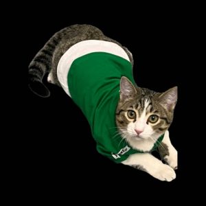 واگذاری گربه نر