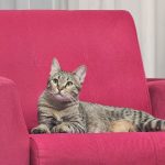 واگذاری طلا خانوم