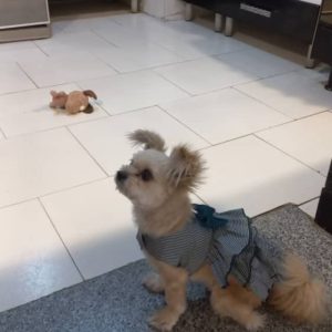 یه عشق 7ساله ماده آروم و مهربون