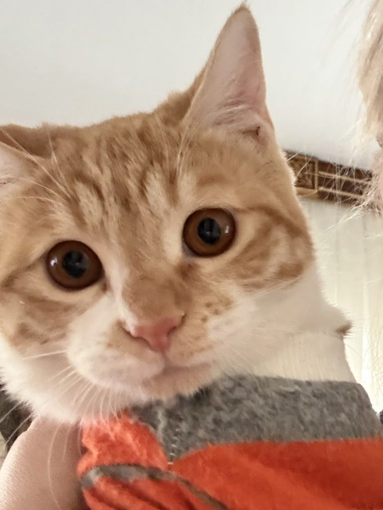 پسر ۶ ماهه واکسینه