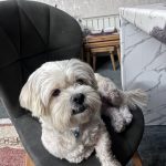 فندق مهربون