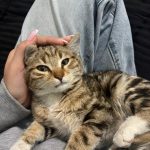 پسر ملوس ۲ ماهه