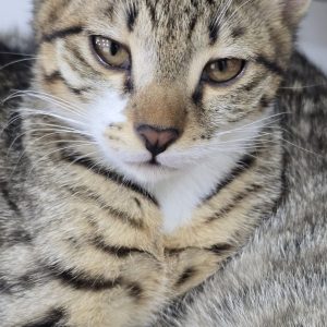 🧚‍♀️ دلبر خانم ۳ ماهه