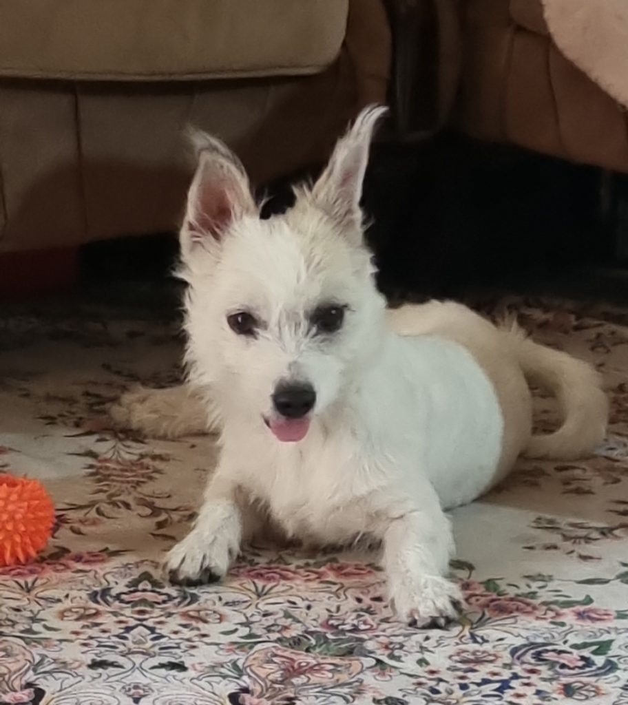 مایا دختر مظلوم و دوست داشتنی