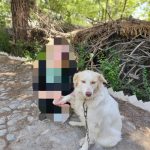 واگذاری سگ نگهبان بومی