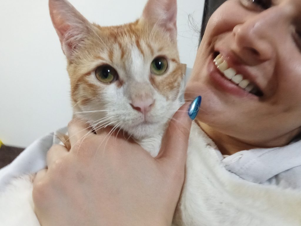 واگذاری بچه گربه 7 ماهه